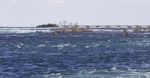 Beautiful Background With The River Right Before The Amazing Niagara Falls Stock Photo