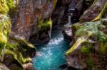 Looking Into Avalanche Creek Stock Photo