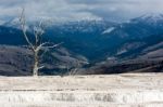 Mammoth Hot Springs Stock Photo