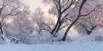 Colorful Winter Landscape. Panorama Of Winer Sunrise Stock Photo