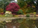 Tree Leaves Changing Colour In Autumn Stock Photo