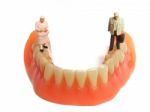 Miniature Elderly Couple Standing On Removable Denture, On White Background. Dental Health Concept Stock Photo