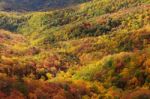 Colorful Autumn Stock Photo