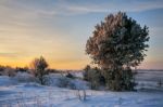 Winter Morning Stock Photo