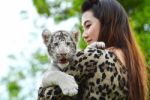 Women Hold Baby White Bengal Tiger Stock Photo