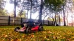 Fall Leaves And Yard Work Stock Photo