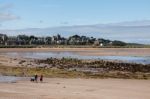 People Walking The Dog On North Berwick Beach Stock Photo