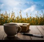 Coffee, Pen And Gift Box On Wooden Table In The Garden Stock Photo