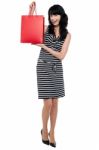 Stylish Young Lady Presenting Shopping Bag Stock Photo