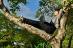 Girl Sleeping On Tree With Laptop Stock Photo