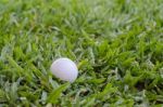 Golf Ball On The Lawn Stock Photo