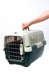 Pet Carrier Stock Photo