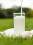 Milk Pouring Into A Glass Stock Photo