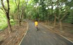 Motion Burred Of Boy Riding Bicycle Through The Forest Stock Photo