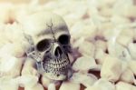 Still Life Of Human Skull With Candy Stock Photo