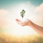 Hands Of Little Girl Holding Bonsai Tree Stock Photo