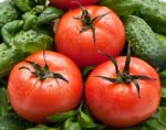 Vivid Wet Ripe Tomatoes Stock Photo