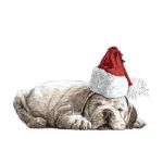 Bulldog With Santa Claus Hat Stock Photo