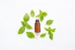 Basil Essential Oil With Basil Leaves On White Stock Photo