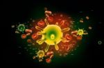 Virus Stock Photo