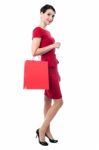 Charming Woman On A Shopping Spree Stock Photo