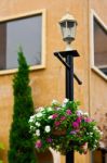 Flower Pots Hanging On The Light Pole Stock Photo