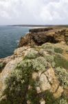 Beautiful Coastline Of Sagres Stock Photo