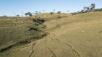 Country Agricultural And Farming Field Stock Photo