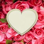 White Paper Heart On Pink Roses Background Stock Photo