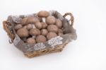 Mushroom Basket Mushrooms On A White Background Stock Photo