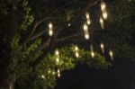 Lanterns Hanging From Tree Stock Photo