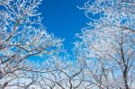 Landscape In Winter,deogyusan In Korea Stock Photo