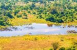 Okavango Delta Aerial View Stock Photo