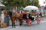 Marbella, Andalucia/spain - July 6 : Horse And Carriage In Marbe Stock Photo