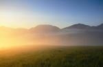 Misty Morning On Meadow Stock Photo