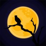 Halloween Graphic Resource Stock Photo