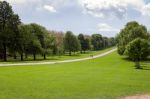 The Long Walk At Windsor Great Park Stock Photo