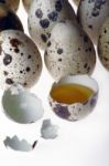 Quails Eggs Stock Photo