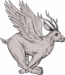 Wolpertinger Running Side Drawing Stock Photo