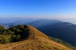 Golden Meadow In The Mountains Stock Photo