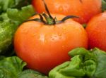 Vivid Wet Ripe Tomatoes Stock Photo