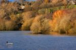 Weir Wood Reservoir Stock Photo