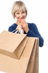 Fashionable Lady With Shopping Bags Stock Photo