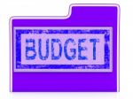 Budget File Shows Economy Business And Expenditure Stock Photo