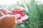 Woman Holds A Red Coffee Cup (vintage Style Color) Stock Photo