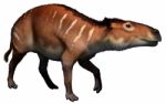 Eurohippus Stock Photo