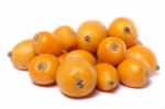 Loquat Fruit Stock Photo