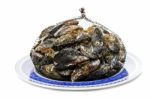 Blue Mussel Bivalve Stock Photo