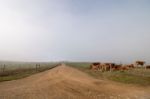 Long Dirt Road Stock Photo