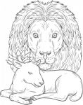 Lion Watching Over Sleeping Lamb Drawing Stock Photo